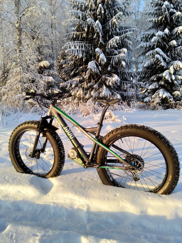 FAT BIKE ROSE transformé en électrique