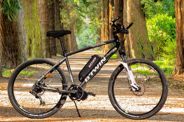Bafang vtt deals